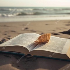 “Sur la plage abandonnée, Livres de poche et vieilles BD...”