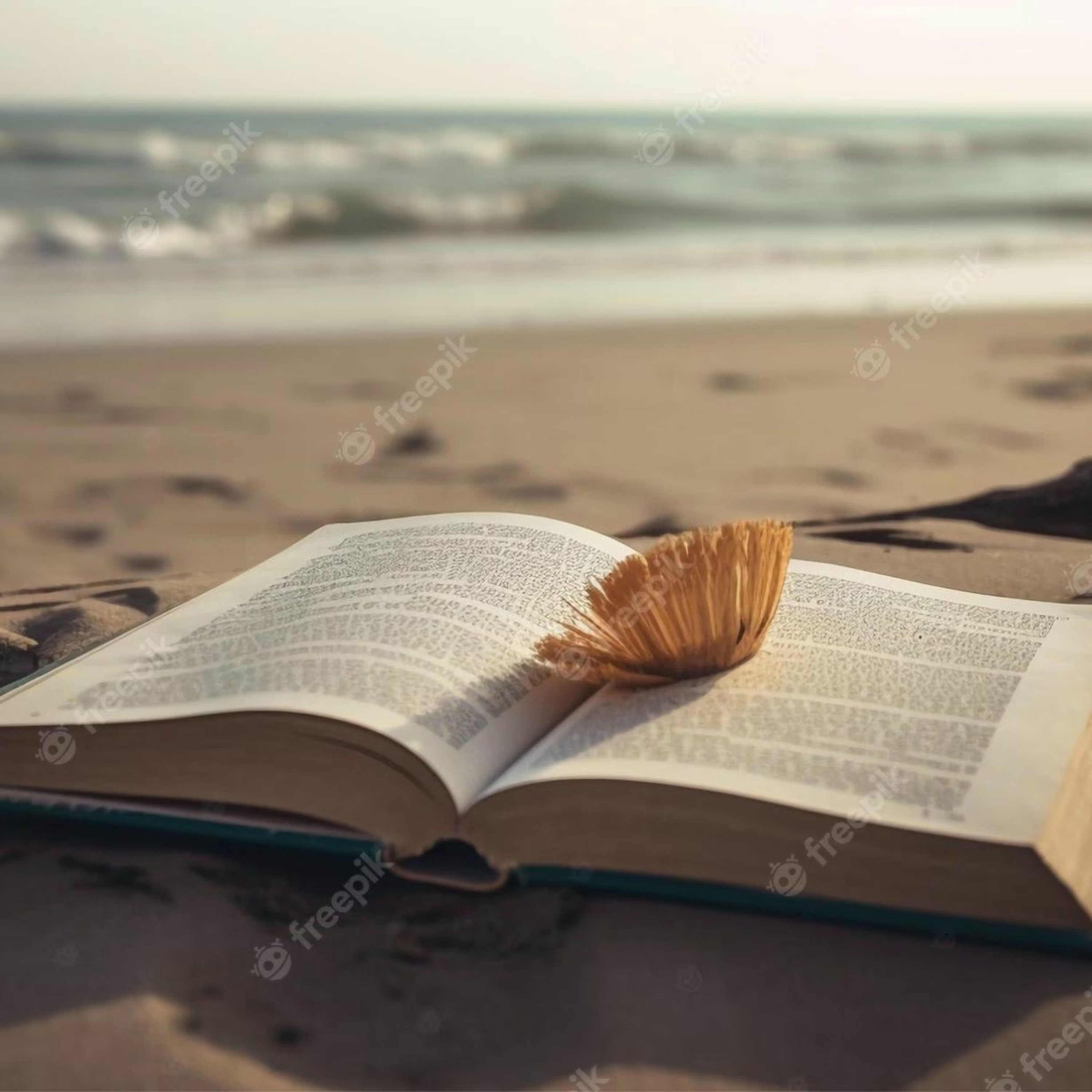 ActuaLitté : les Podcasts du livre