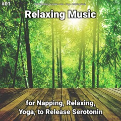 Relaxing Music, Pt. 62