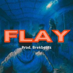 Flay ( Veeze type beat x Detroit type beat x Melodic type beat)