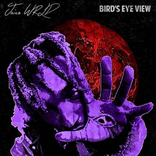 Stream Juice WRLD Birds Eye View (naviixn remix) by naviixn Listen