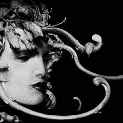 Medusa Freestyle (Feat. DD Cam)