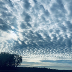 A Million Different People