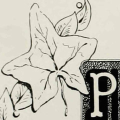 perkys