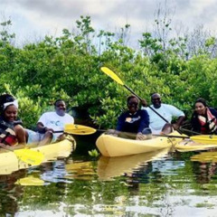Review Special Price Magic Mangrove Paddle In Beef Island Lagoon