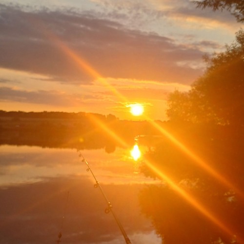 Ебанько - Тупой олень