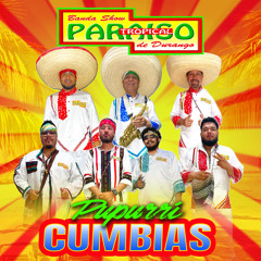 Popurrí Cumbias: La Godorniz / Viva El Amor / Paloma Mensajera