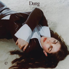 Dang - Caroline Polachek (combined snippets) (not my audio)