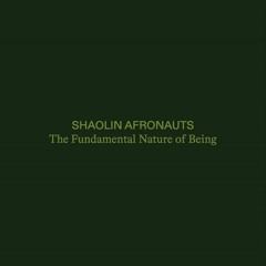 Premiere: Shaolin Afronauts - Morning Song