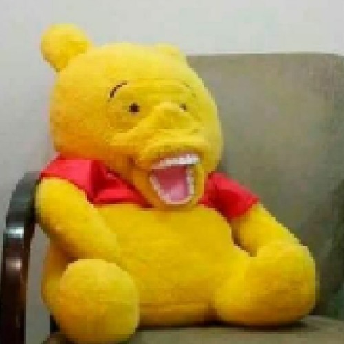The Penis (Eek!)