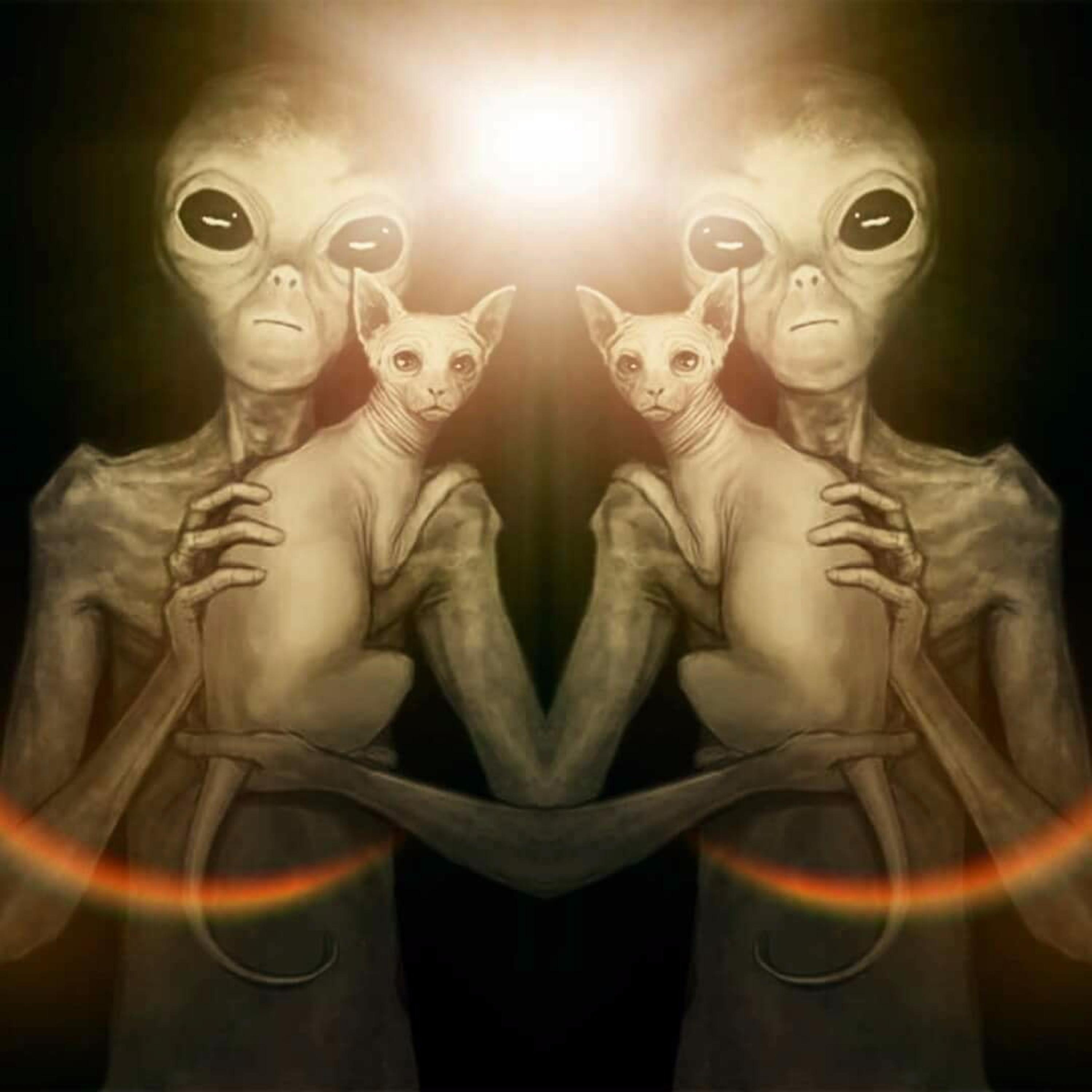Mitten In Der Pandemitz episode artwork