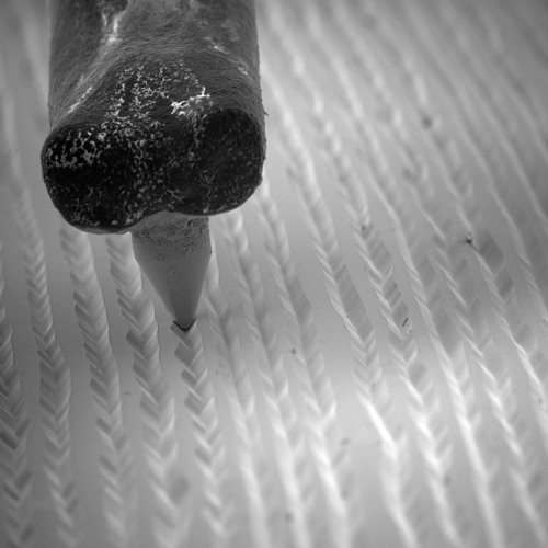 deep hot grooves 2 dj sets / festivals / clubs