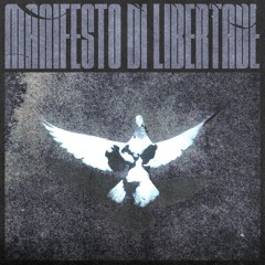 Manifesto Di Liberdade (Phoxkz Remix)