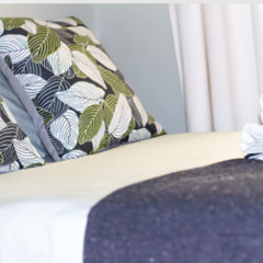 Tree Aloe Guest House - A Comfortable Retreat Surrounded by Luscious Gardens