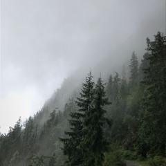 Sweater weather X Glue - Vospitanik mashup