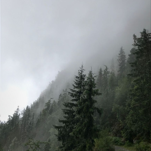 Sweater weather X Glue - Vospitanik mashup