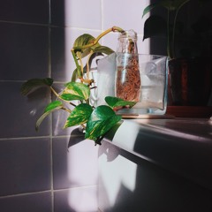 seed toss (superchunk cover) - songAmonth