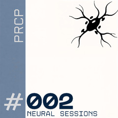 neural sessions #002 - prcp