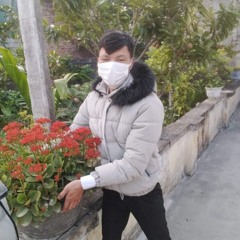 Y2meta.app - Đổi Tình Đổi Áo Lofi - Nhường Người Thứ Hai Sẽ Yêu Em Mãi Mãi Lofi TikTok - Nhạc Chill