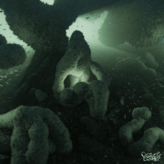 𝑷𝒓𝒆𝒎𝒊𝒆𝒓𝒆: Archypness - Bhadra [OS04]