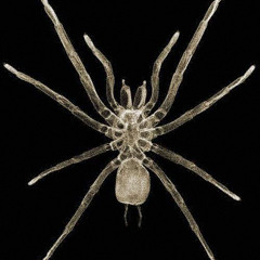 gang by me ! ( hard mix )