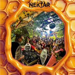 Bienenbounce | Amore @ Nektar Festival 25