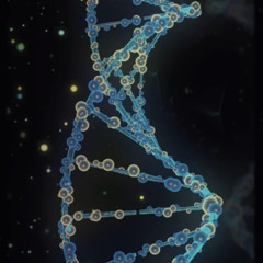 Deoxyribonucleic