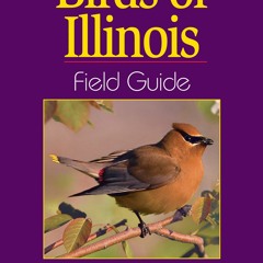 Download Birds of Illinois Field Guide {fulll|online|unlimite)