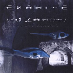 examine-mix-110-w-djruines-2025-04-12