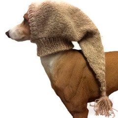 yungmanny - wad always knows