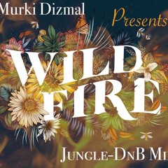 WILDFIRE (jungleDnBmix)