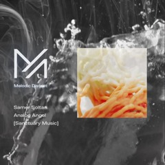 Premiere: Samer Soltan - Analog Angel [Sanctuary Music]