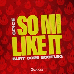 Spice - So Mi Like It (Burt Cope Bootleg)