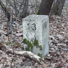 Blasphemies of My Demon Family