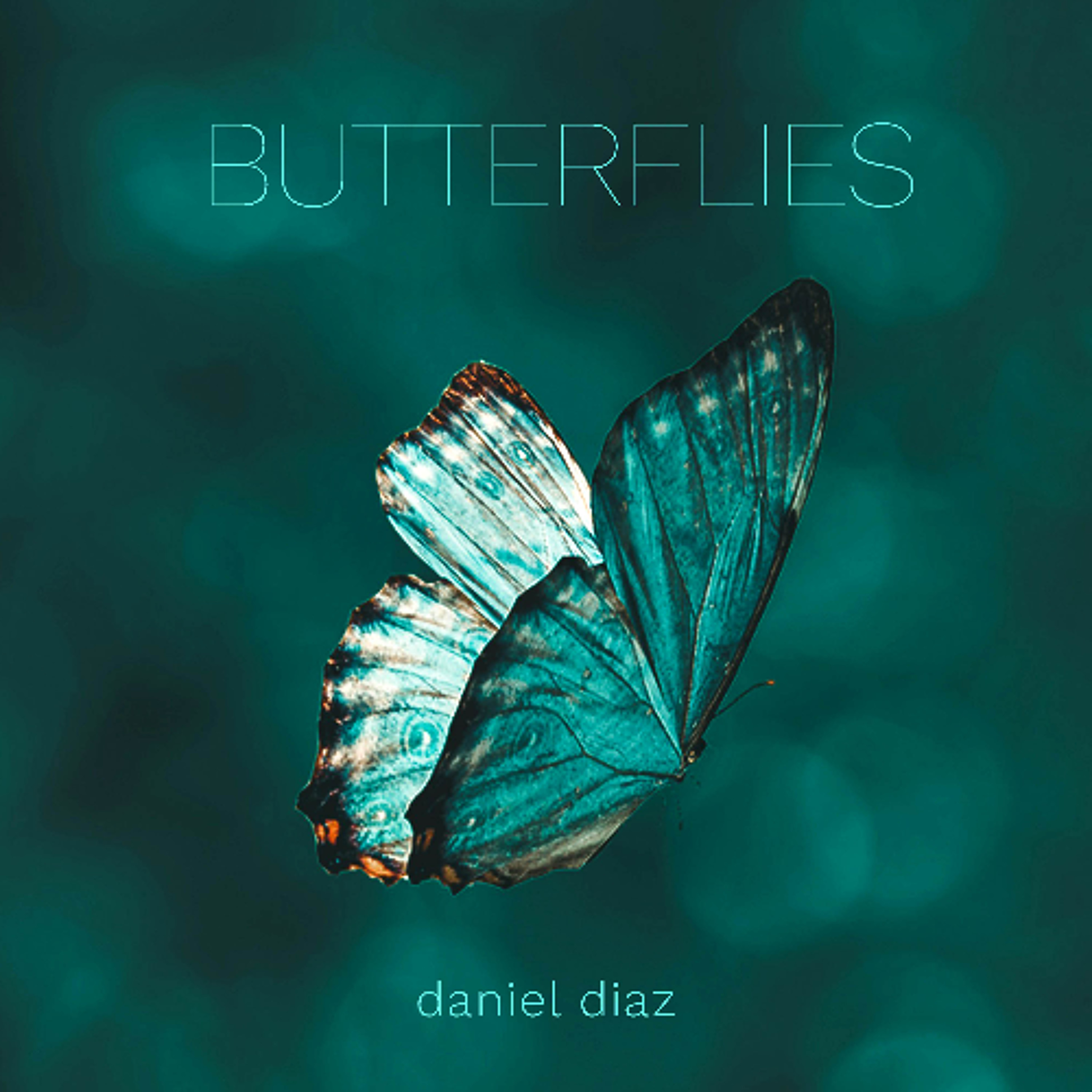 Butterflies (naviarhaiku647) episode artwork