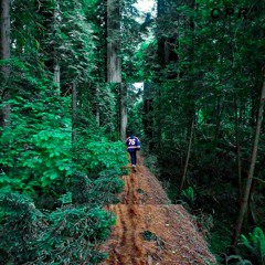 What Are You Waiting For