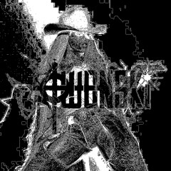 Beyoncé - RiiVERDANCE (TWONSKi Remix)