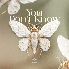 Premiere | N3dek - You Dont Know [Axiom Music]