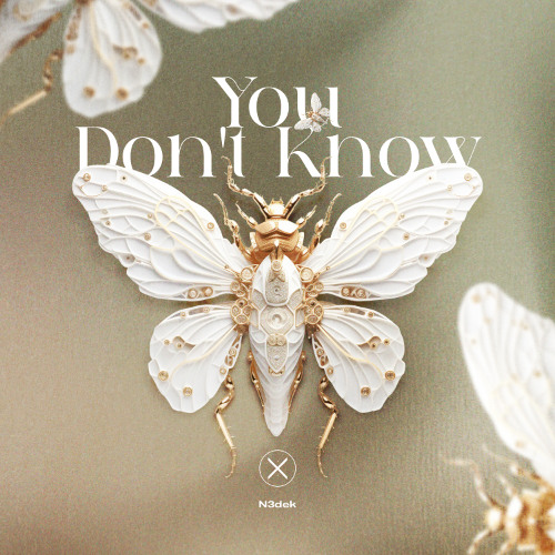 Premiere | N3dek - You Dont Know [Axiom Music]