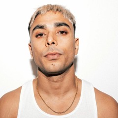 GURINDER GILL  - FLY