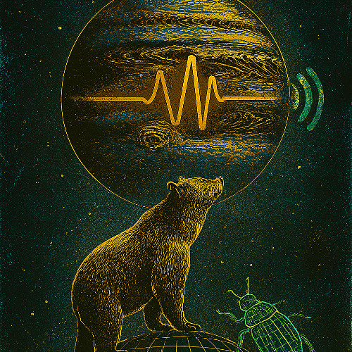 Jupiter Bear