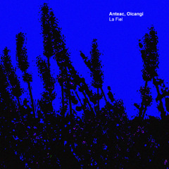 Anteac, Oicangi - Riesgo De Ceguera