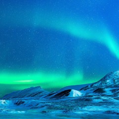 Gotti - Tundra