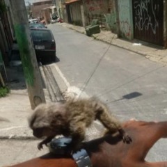 MTG - KIKA COM A BUNDA - DJ - CÉZÃO DA VILA (feat DJ - VK