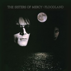 Lucretia My Reflection (Vinyl Version; New Version for Digital)