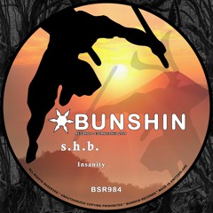 s.h.b. - Insanity (FREE DOWNLOAD)