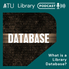 What is a library database?