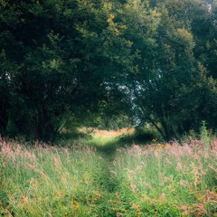 CHRISYE Kala Cinta Menggoda [MGK COVER] Mario G Klau ft Ivena Adira