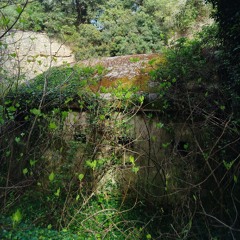 Hidden Fort After | Søne | Easter 420