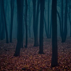 Among the Missing